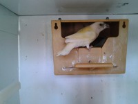 /album/galeria-de-fotos/a2012-09-29-18-18-55-jpg/